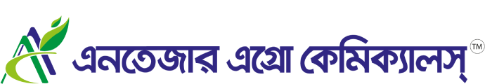 Antezar Logo