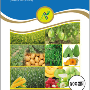 এন—সলুবর