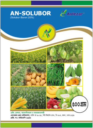 এন—সলুবর