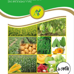 এন—জিংক মনো