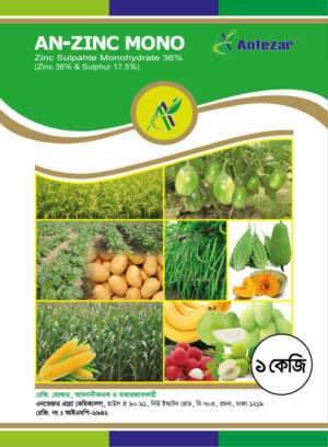 এন—জিংক মনো