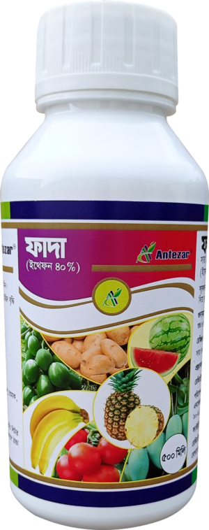 ফাদা