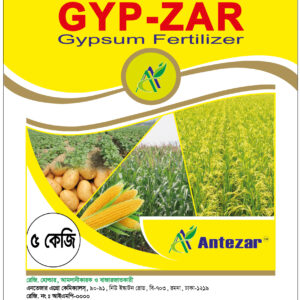 জিপ—জার