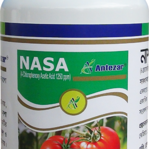নাশা