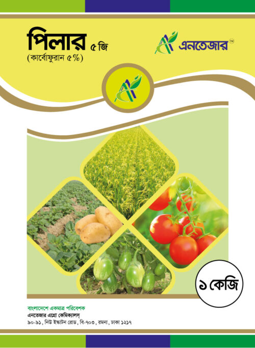 পিলার ৫ জি