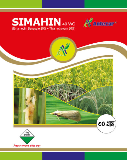 সীমাহীন ৪০ ডব্লিউজি